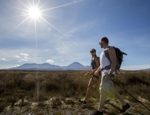 Alpine Walking Guide or Senior Alpine Walking Guide