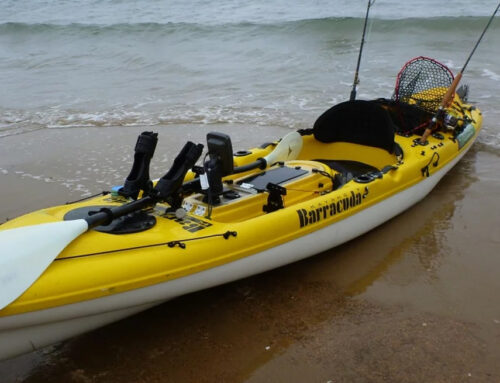 Kayaking Guide & Office / Equipment Hirer Assistant – NZ