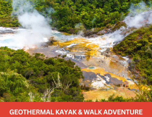 Geothermal Kayak & Walk Adventure at Orakei Korako